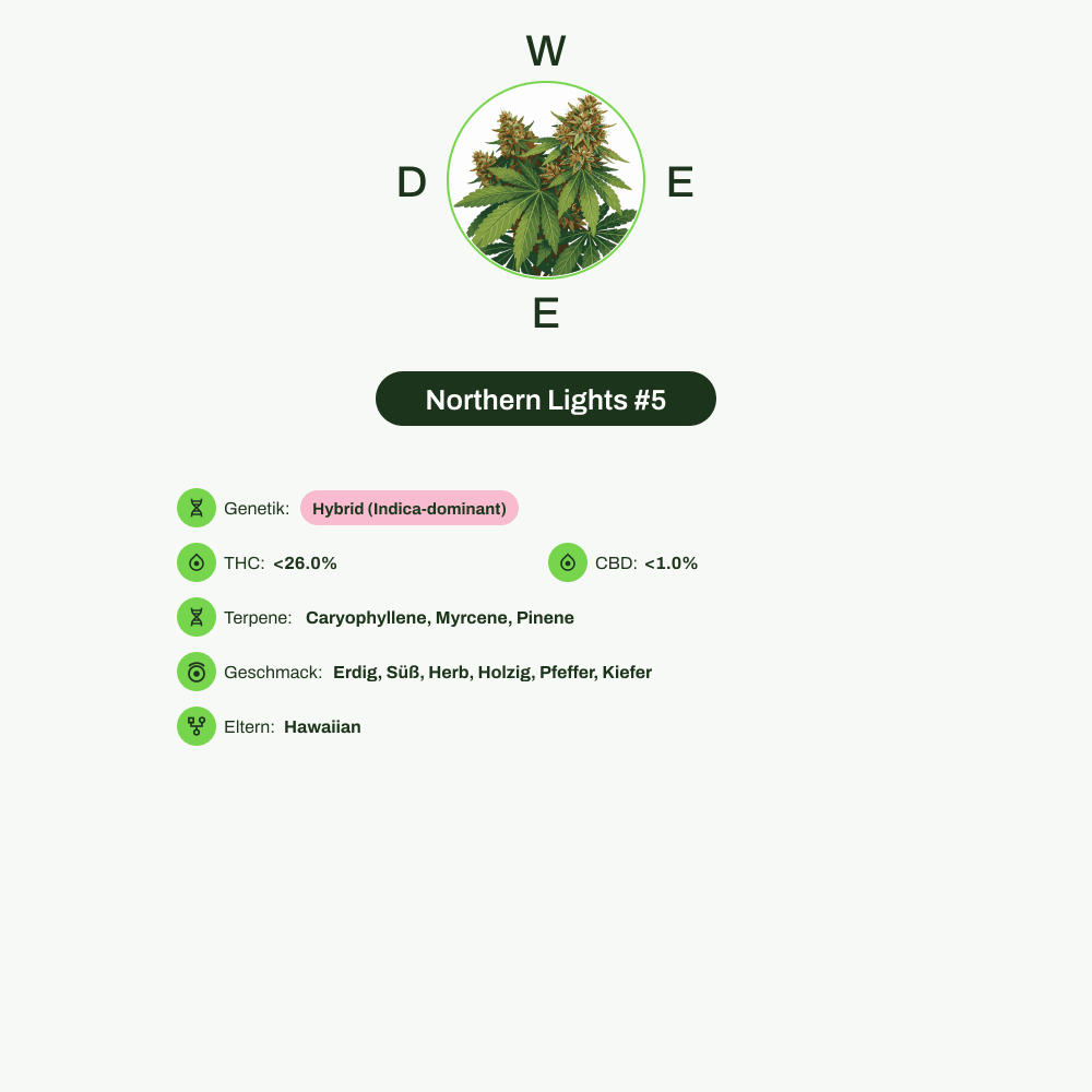 Infografik über THC-Gehalt, CBD-Gehalt, Terpene, Wirkungen, Geschmack von Northern Lights #5
