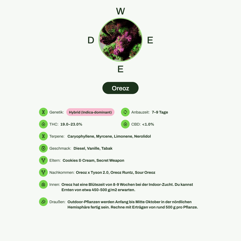 Infografik über THC-Gehalt, CBD-Gehalt, Terpene, Wirkungen, Geschmack von Oreoz
