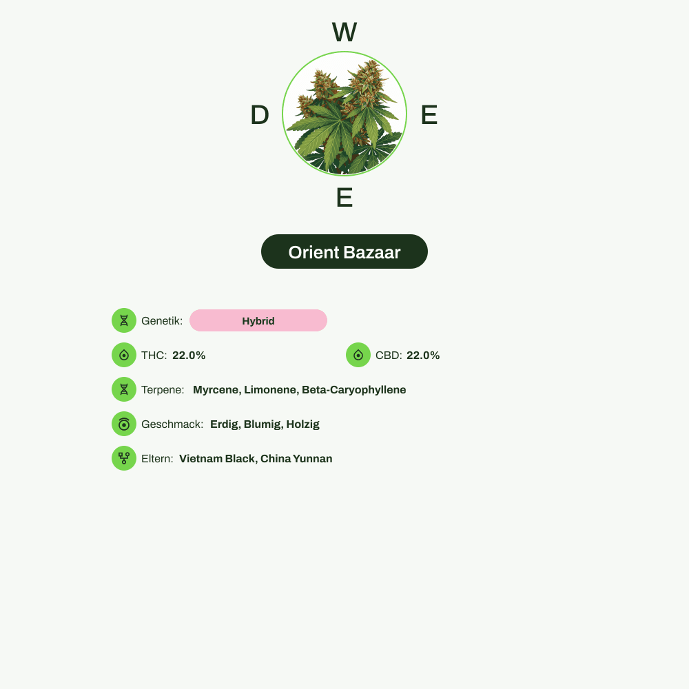 Infografik über THC-Gehalt, CBD-Gehalt, Terpene, Wirkungen, Geschmack von Orient Bazaar