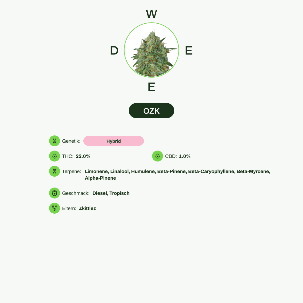 Infografik über THC-Gehalt, CBD-Gehalt, Terpene, Wirkungen, Geschmack von OZK