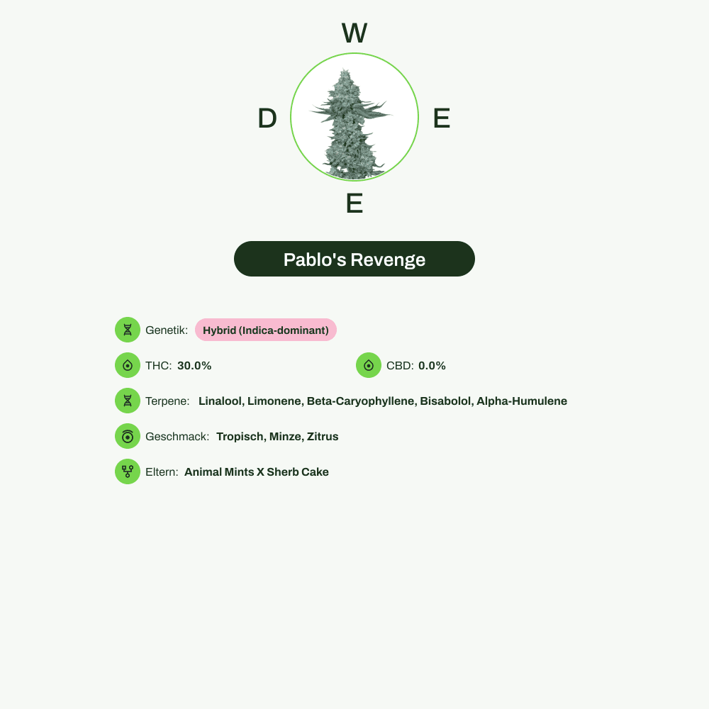 Infografik über THC-Gehalt, CBD-Gehalt, Terpene, Wirkungen, Geschmack von Pablo's Revenge