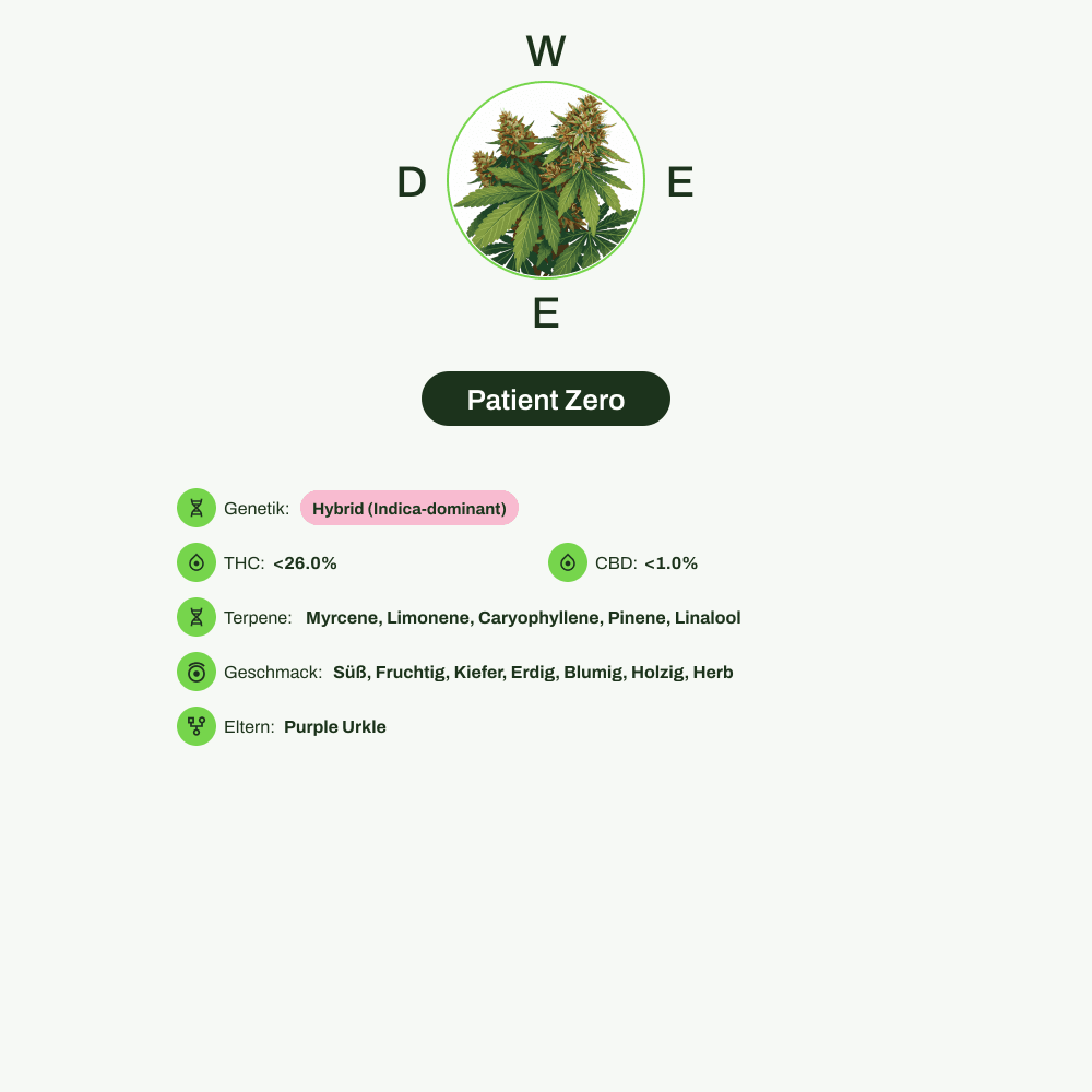 Infografik über THC-Gehalt, CBD-Gehalt, Terpene, Wirkungen, Geschmack von Patient Zero