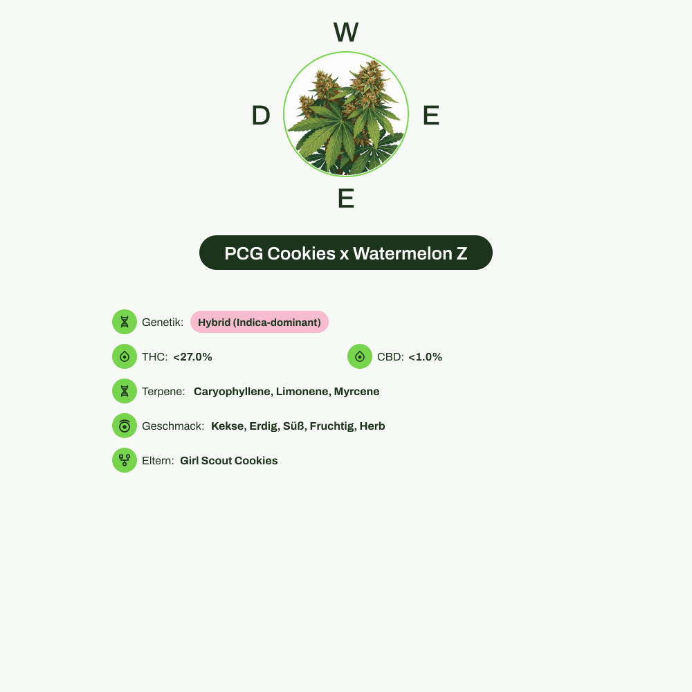 Infografik über THC-Gehalt, CBD-Gehalt, Terpene, Wirkungen, Geschmack von PCG Cookies x Watermelon Z