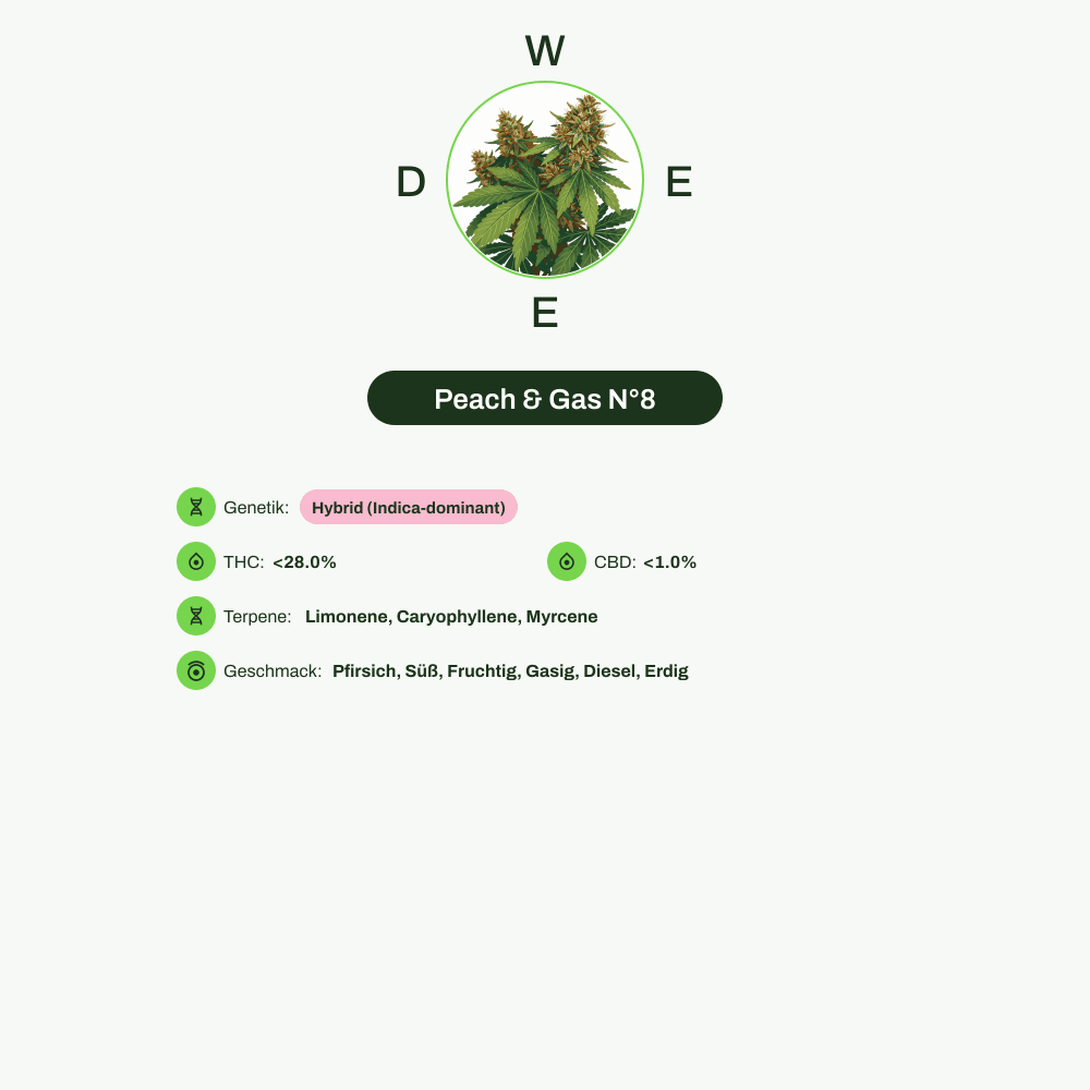 Infografik über THC-Gehalt, CBD-Gehalt, Terpene, Wirkungen, Geschmack von Peach & Gas N°8
