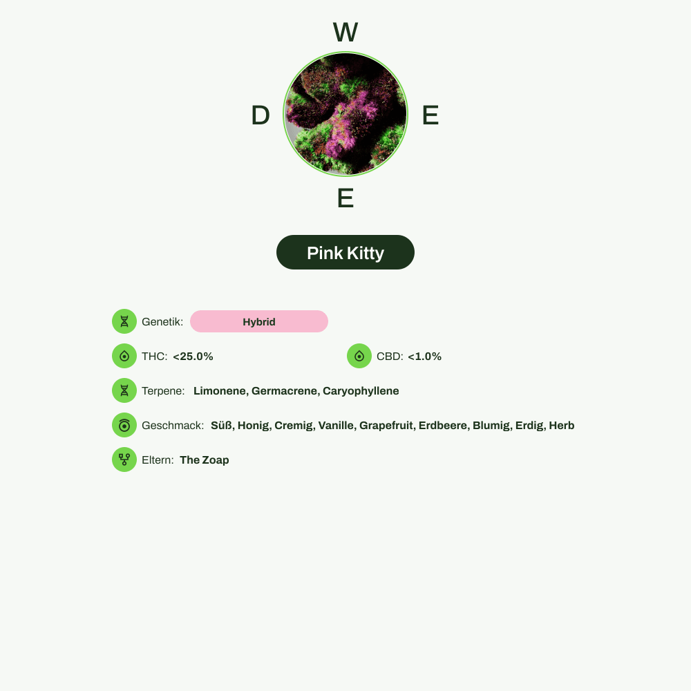 Infografik über THC-Gehalt, CBD-Gehalt, Terpene, Wirkungen, Geschmack von Pink Kitty