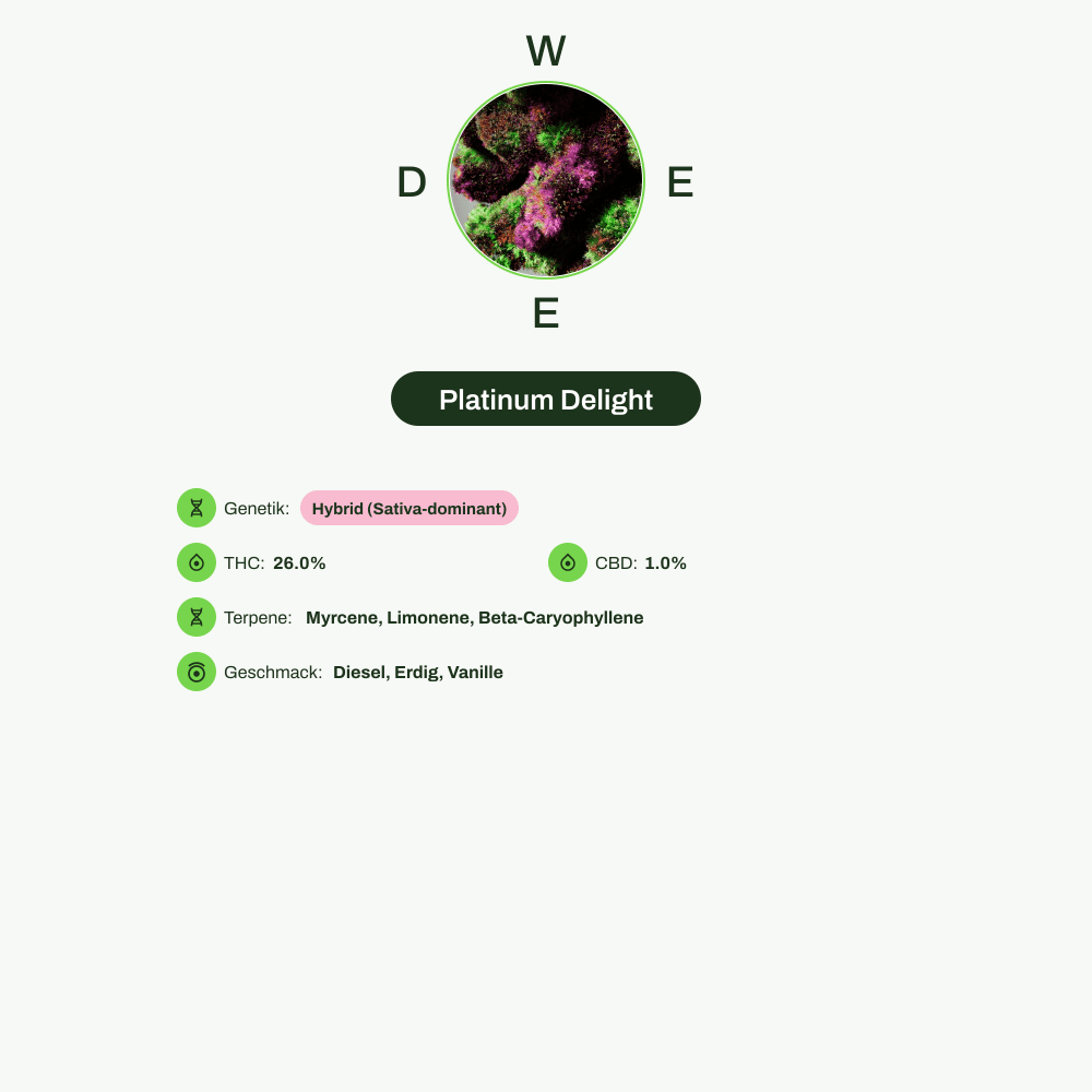 Infografik über THC-Gehalt, CBD-Gehalt, Terpene, Wirkungen, Geschmack von Platinum Delight