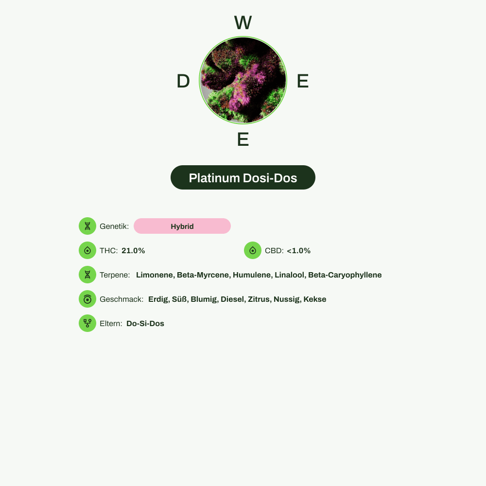 Infografik über THC-Gehalt, CBD-Gehalt, Terpene, Wirkungen, Geschmack von Platinum Dosi-Dos