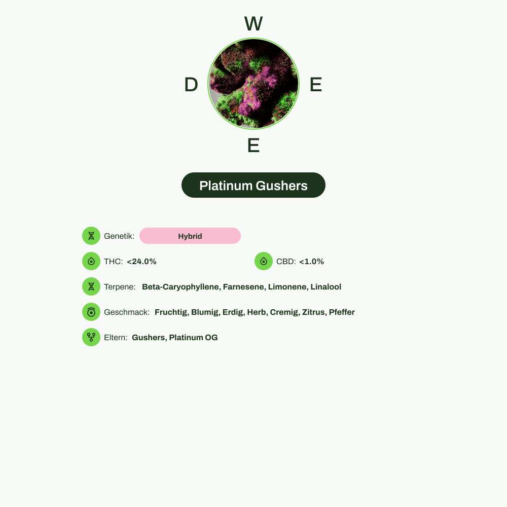 Infografik über THC-Gehalt, CBD-Gehalt, Terpene, Wirkungen, Geschmack von Platinum Gushers