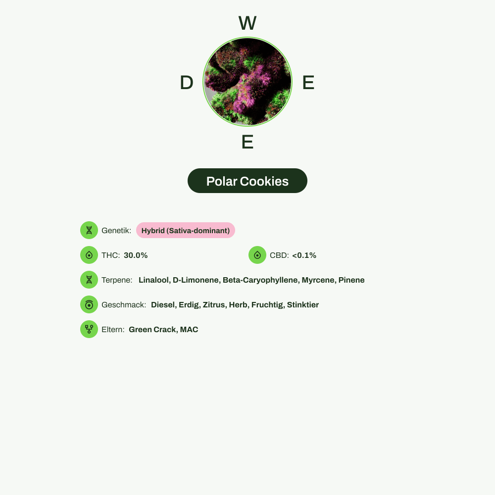 Infografik über THC-Gehalt, CBD-Gehalt, Terpene, Wirkungen, Geschmack von Polar Cookies