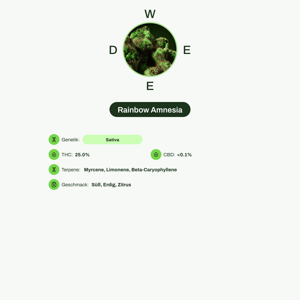 Infografik über THC-Gehalt, CBD-Gehalt, Terpene, Wirkungen, Geschmack von Rainbow Amnesia