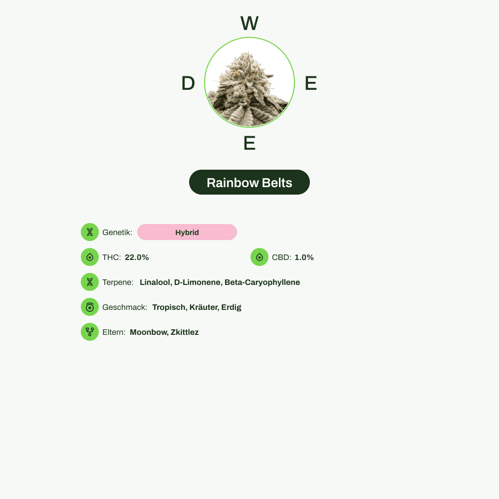 Infografik über THC-Gehalt, CBD-Gehalt, Terpene, Wirkungen, Geschmack von Rainbow Belts