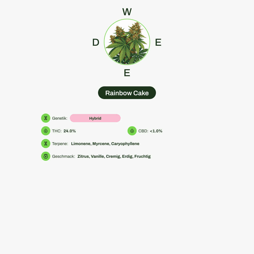 Infografik über THC-Gehalt, CBD-Gehalt, Terpene, Wirkungen, Geschmack von Rainbow Cake