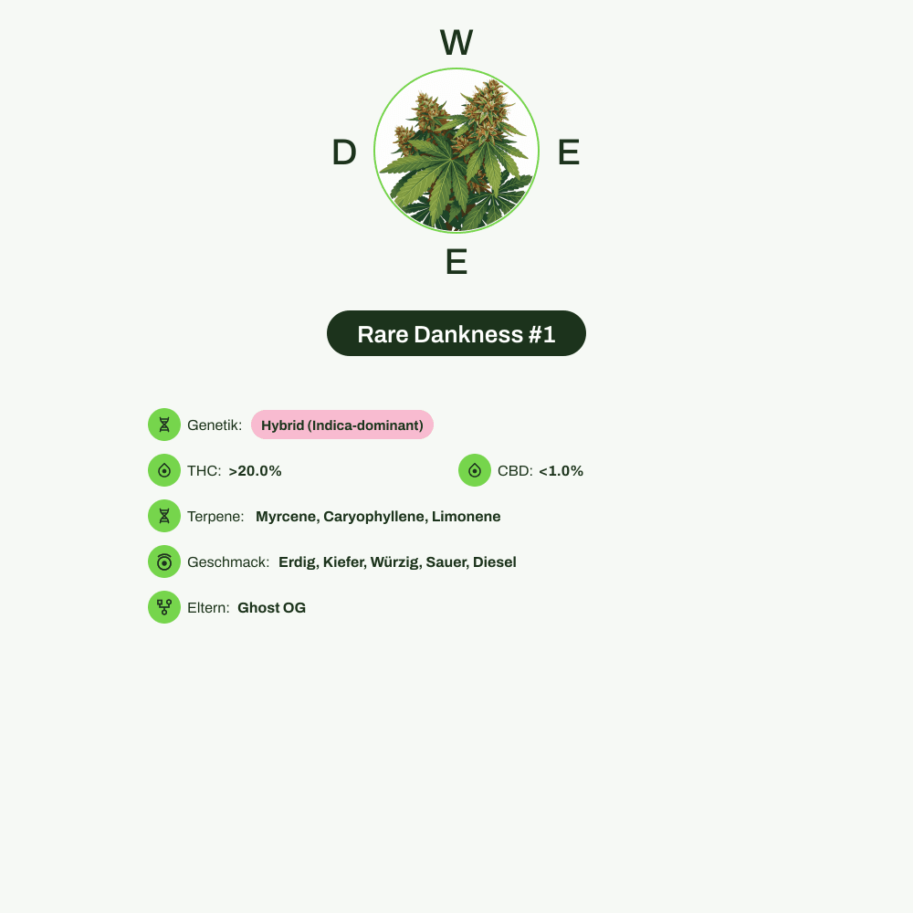 Infografik über THC-Gehalt, CBD-Gehalt, Terpene, Wirkungen, Geschmack von Rare Dankness #1