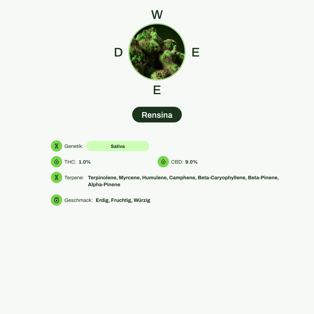 Infografik über THC-Gehalt, CBD-Gehalt, Terpene, Wirkungen, Geschmack von Rensina