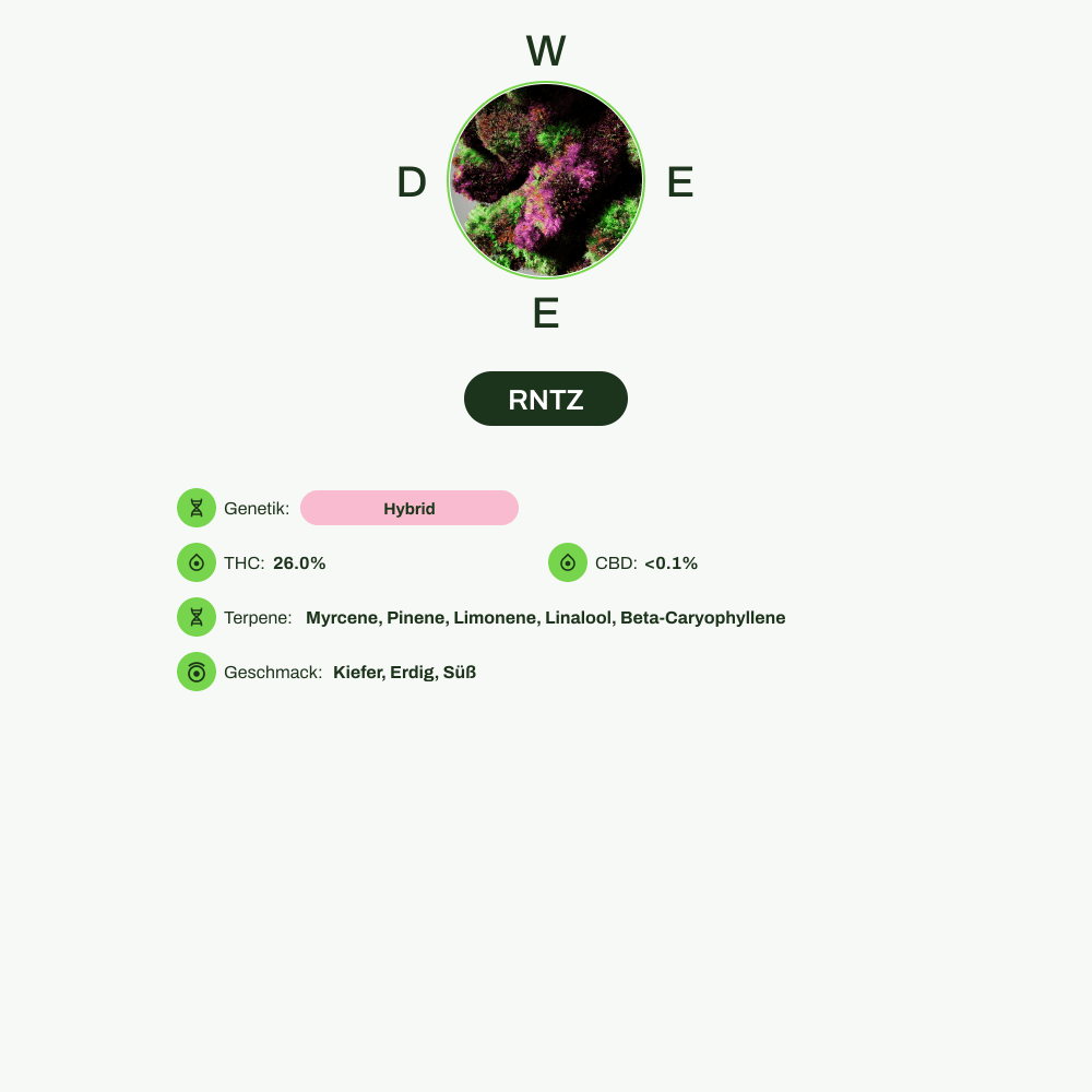 Infografik über THC-Gehalt, CBD-Gehalt, Terpene, Wirkungen, Geschmack von RNTZ