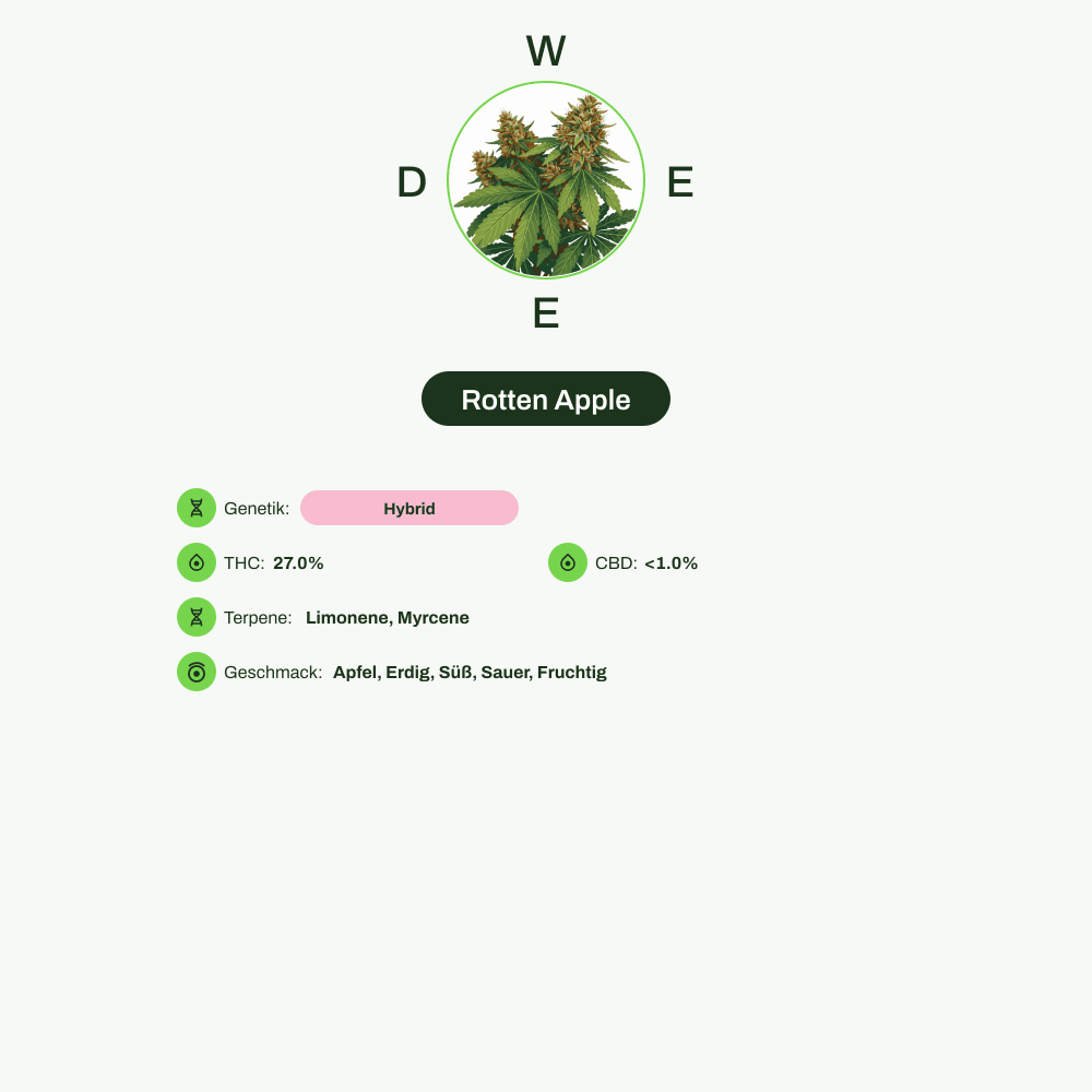 Infografik über THC-Gehalt, CBD-Gehalt, Terpene, Wirkungen, Geschmack von Rotten Apple