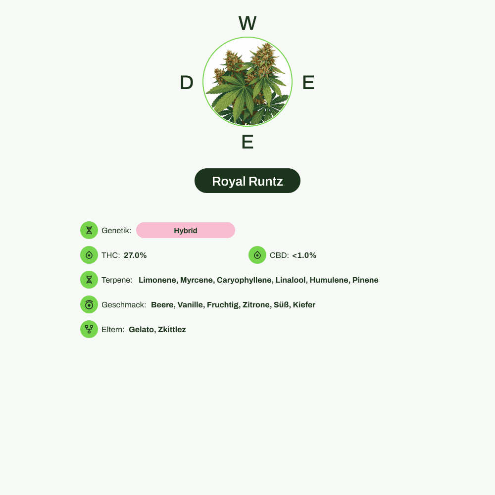 Infografik über THC-Gehalt, CBD-Gehalt, Terpene, Wirkungen, Geschmack von Royal Runtz