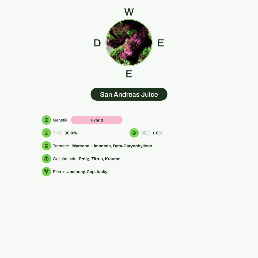 Infografik über THC-Gehalt, CBD-Gehalt, Terpene, Wirkungen, Geschmack von San Andreas Juice