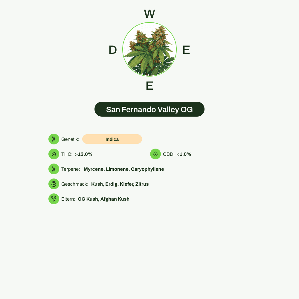 Infografik über THC-Gehalt, CBD-Gehalt, Terpene, Wirkungen, Geschmack von San Fernando Valley OG