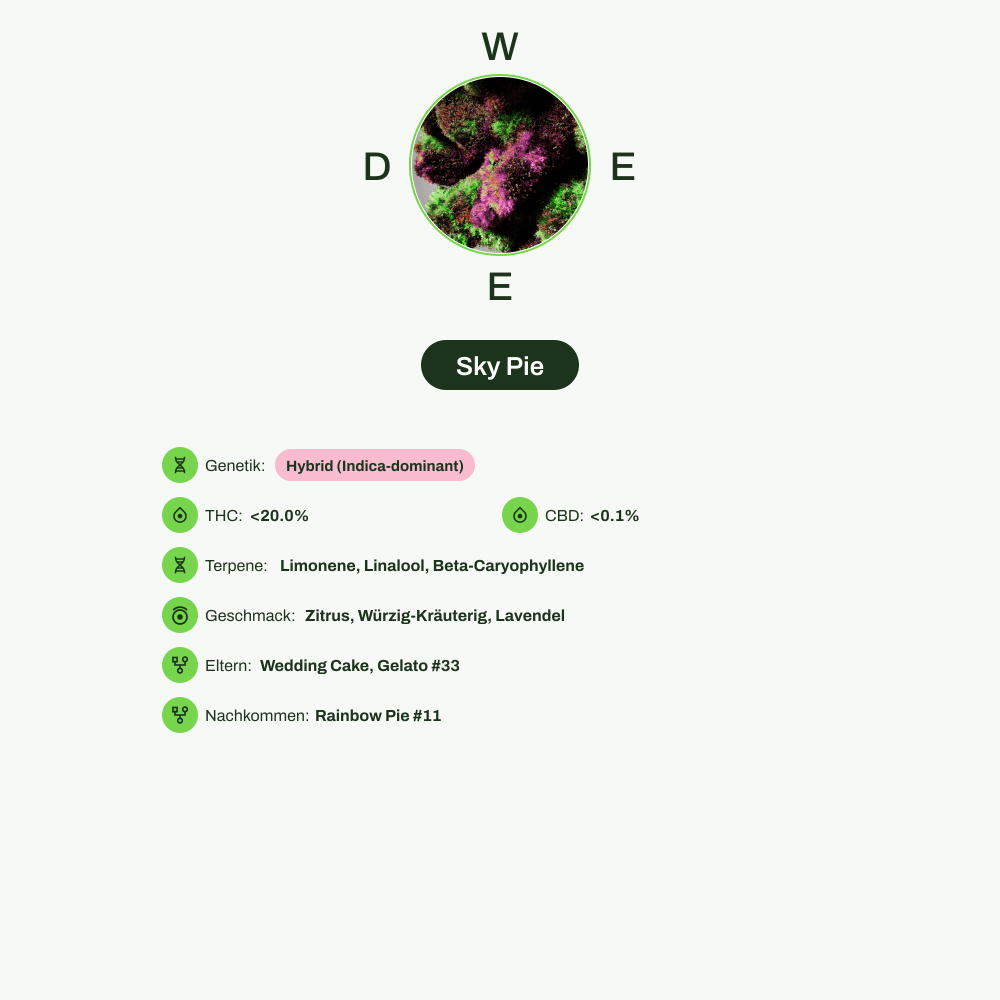 Infografik über THC-Gehalt, CBD-Gehalt, Terpene, Wirkungen, Geschmack von Sky Pie