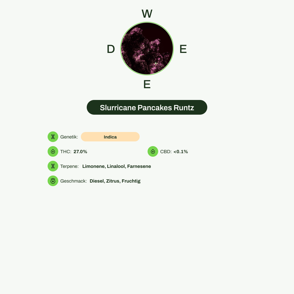 Infografik über THC-Gehalt, CBD-Gehalt, Terpene, Wirkungen, Geschmack von Slurricane Pancakes Runtz