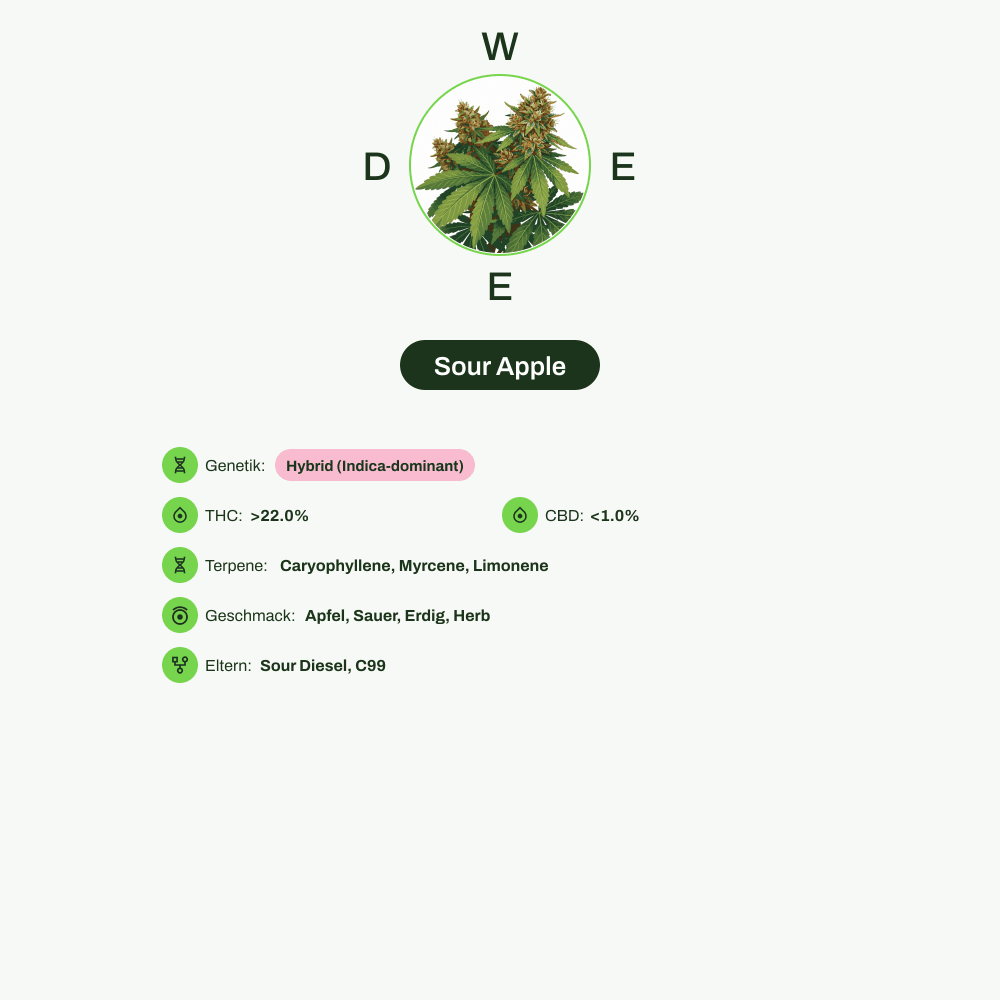 Infografik über THC-Gehalt, CBD-Gehalt, Terpene, Wirkungen, Geschmack von Sour Apple