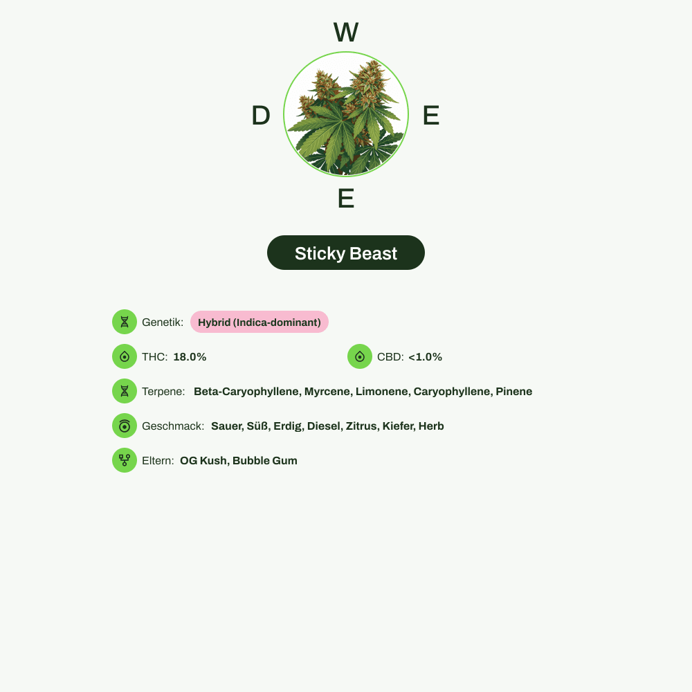 Infografik über THC-Gehalt, CBD-Gehalt, Terpene, Wirkungen, Geschmack von Sticky Beast