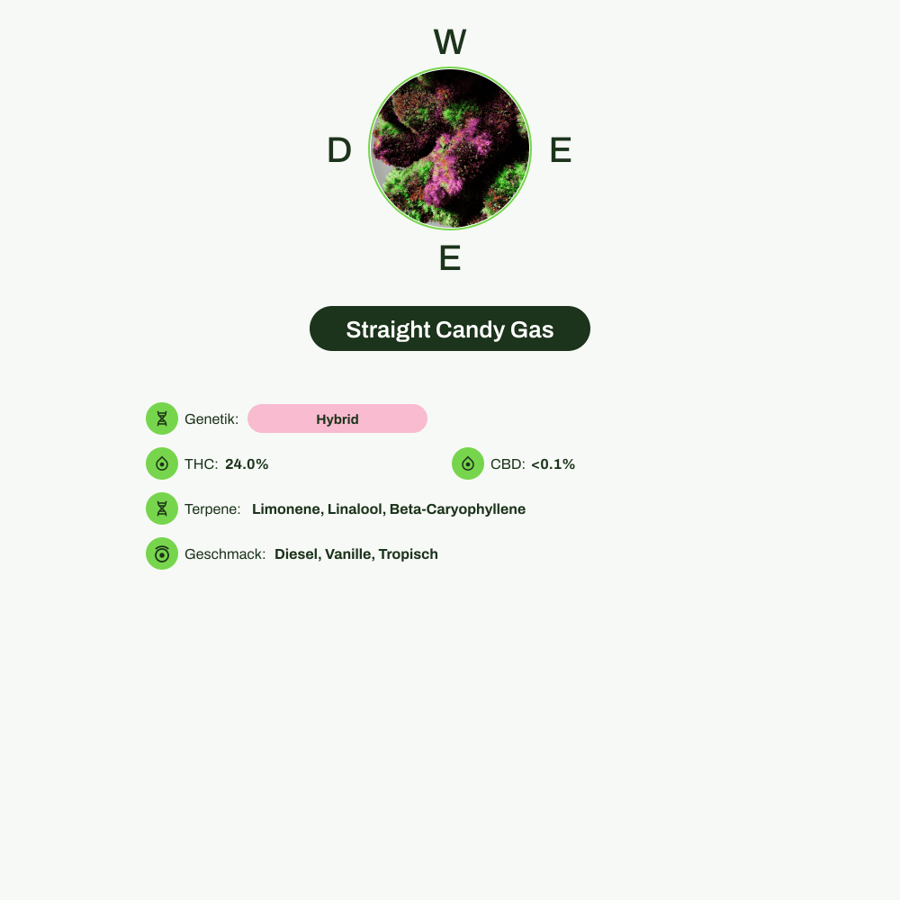 Infografik über THC-Gehalt, CBD-Gehalt, Terpene, Wirkungen, Geschmack von Straight Candy Gas