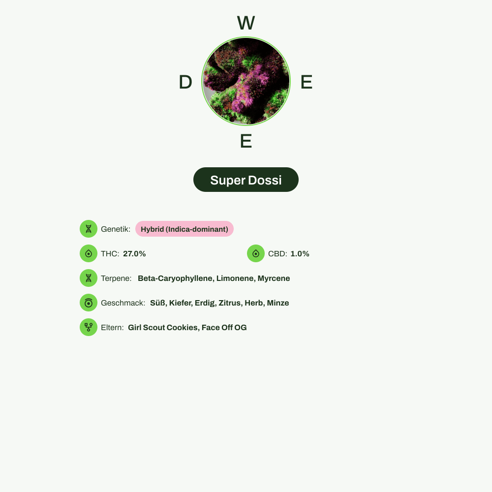 Infografik über THC-Gehalt, CBD-Gehalt, Terpene, Wirkungen, Geschmack von Super Dossi