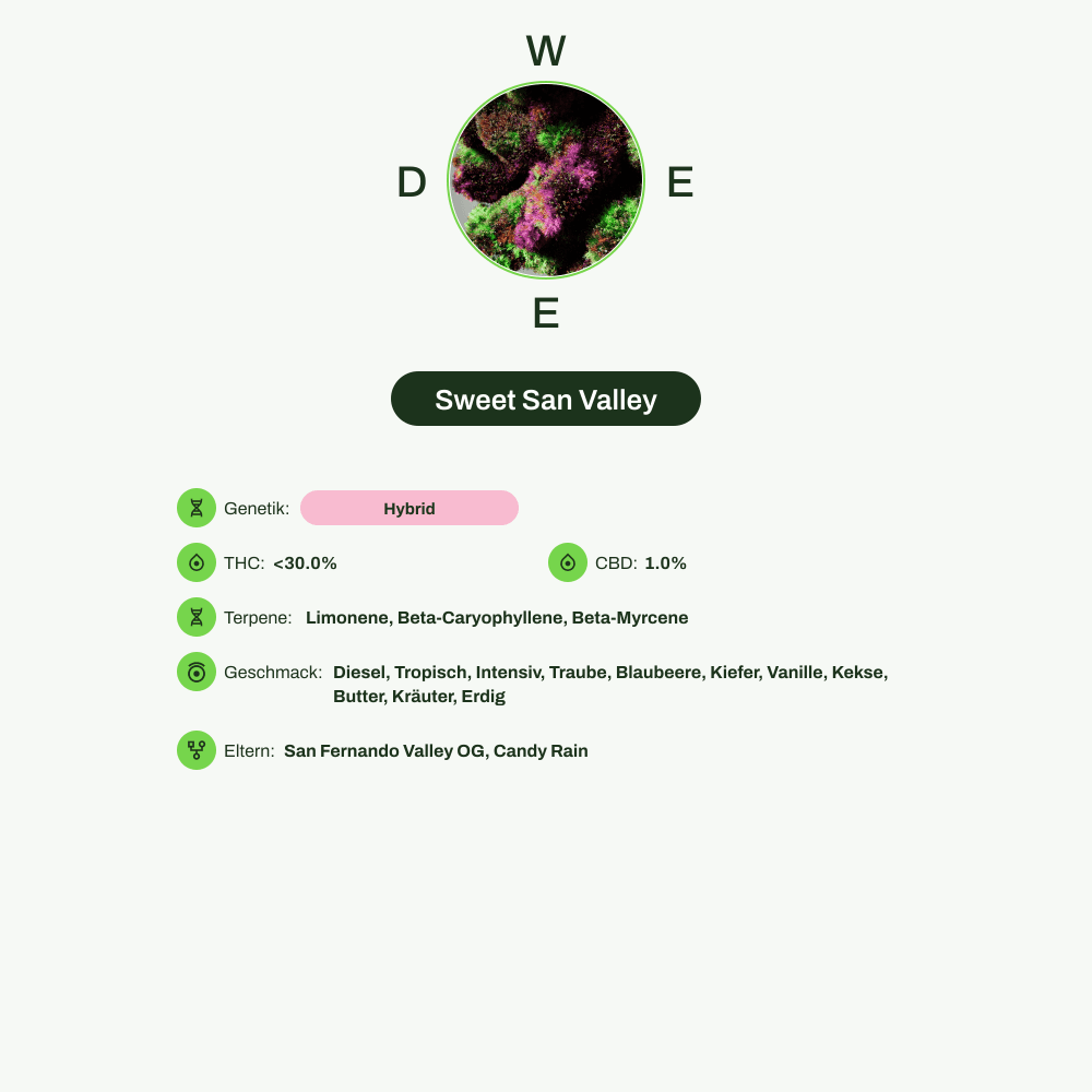 Infografik über THC-Gehalt, CBD-Gehalt, Terpene, Wirkungen, Geschmack von Sweet San Valley