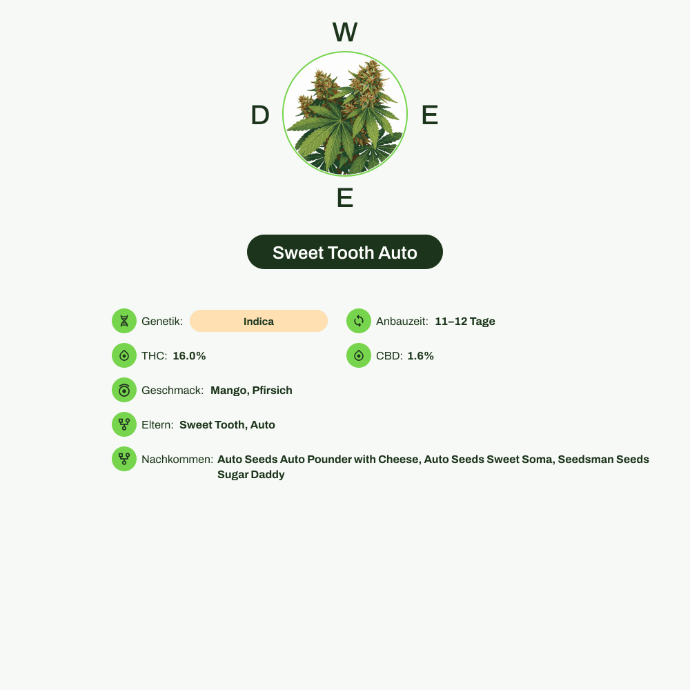 Infografik über THC-Gehalt, CBD-Gehalt, Terpene, Wirkungen, Geschmack von Sweet Tooth Auto