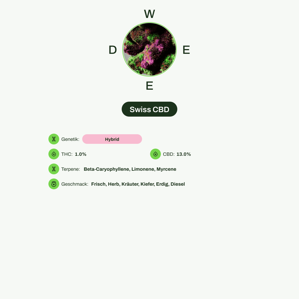 Infografik über THC-Gehalt, CBD-Gehalt, Terpene, Wirkungen, Geschmack von Swiss CBD