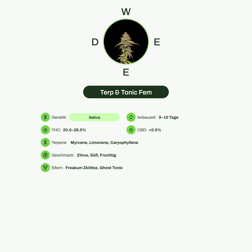 Infografik über THC-Gehalt, CBD-Gehalt, Terpene, Wirkungen, Geschmack von Terp & Tonic Fem