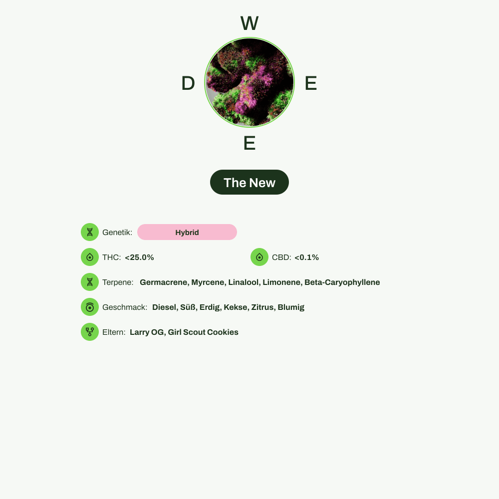 Infografik über THC-Gehalt, CBD-Gehalt, Terpene, Wirkungen, Geschmack von The New
