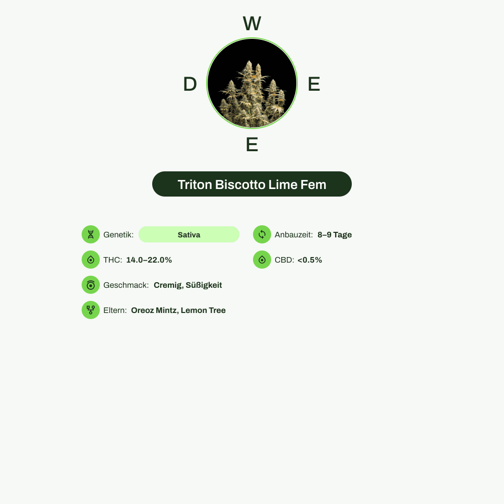 Infografik über THC-Gehalt, CBD-Gehalt, Wirkungen, Geschmack von Triton Biscotto Lime Fem