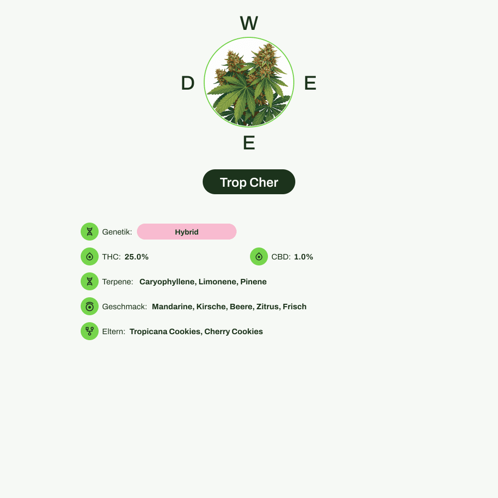 Infografik über THC-Gehalt, CBD-Gehalt, Terpene, Wirkungen, Geschmack von Trop Cher