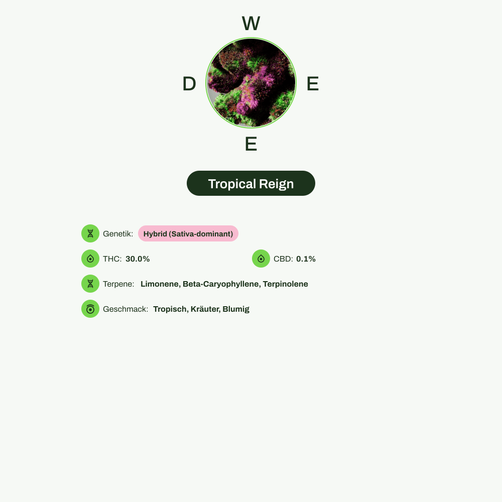 Infografik über THC-Gehalt, CBD-Gehalt, Terpene, Wirkungen, Geschmack von Tropical Reign