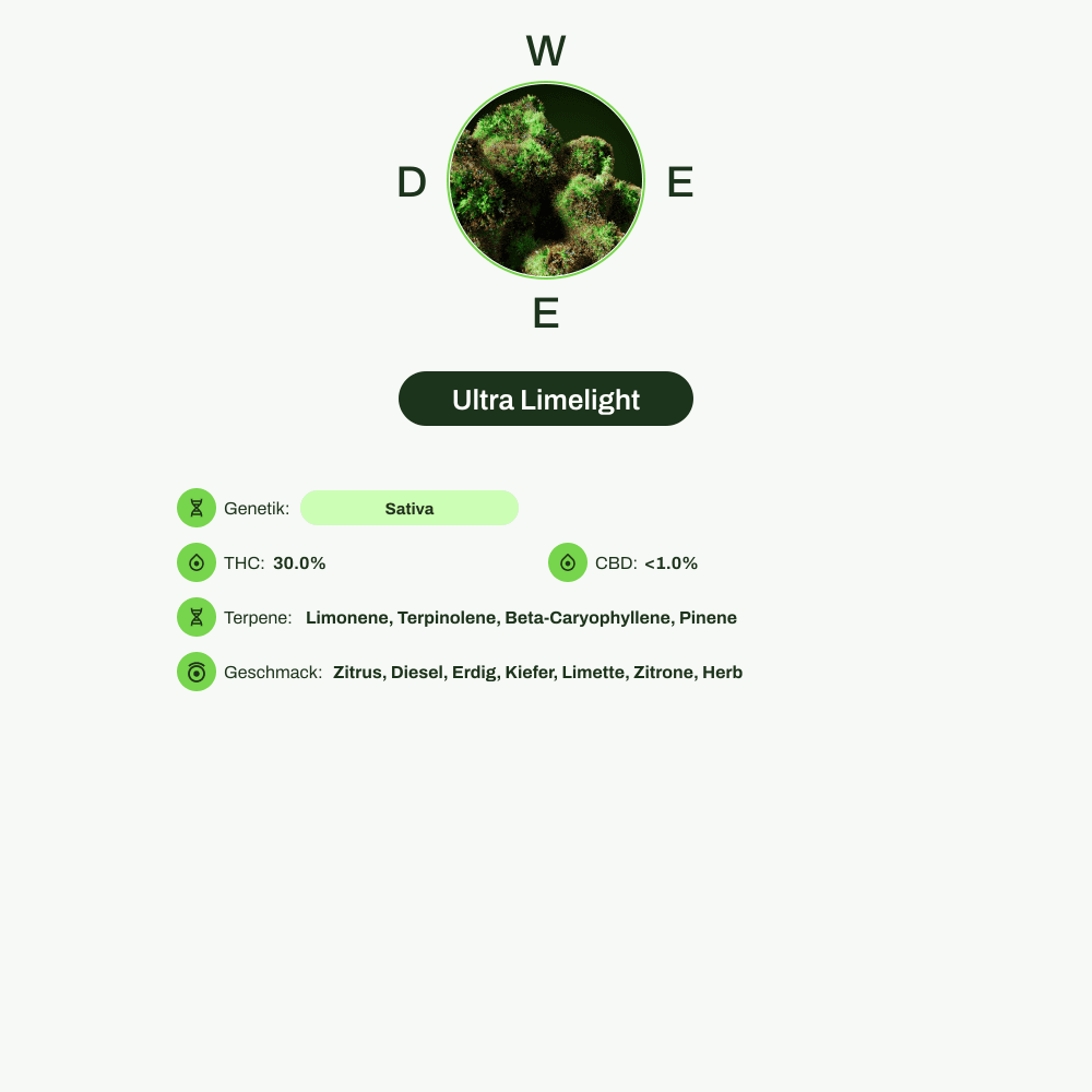 Infografik über THC-Gehalt, CBD-Gehalt, Terpene, Wirkungen, Geschmack von Ultra Limelight
