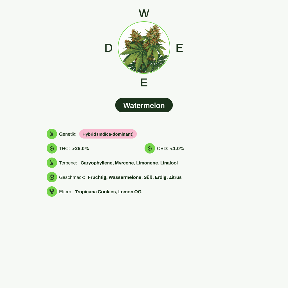 Infografik über THC-Gehalt, CBD-Gehalt, Terpene, Wirkungen, Geschmack von Watermelon