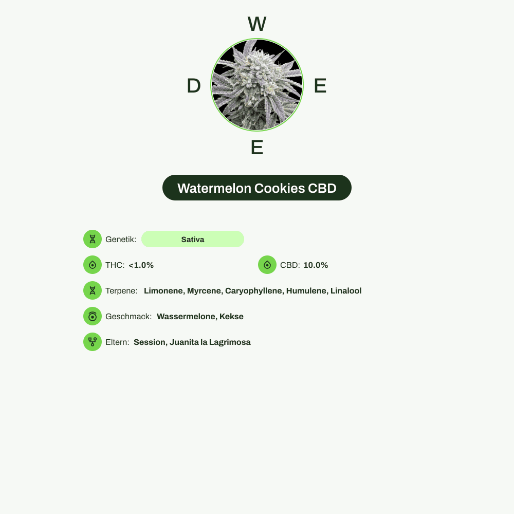 Infografik über THC-Gehalt, CBD-Gehalt, Terpene, Wirkungen, Geschmack von Watermelon Cookies CBD