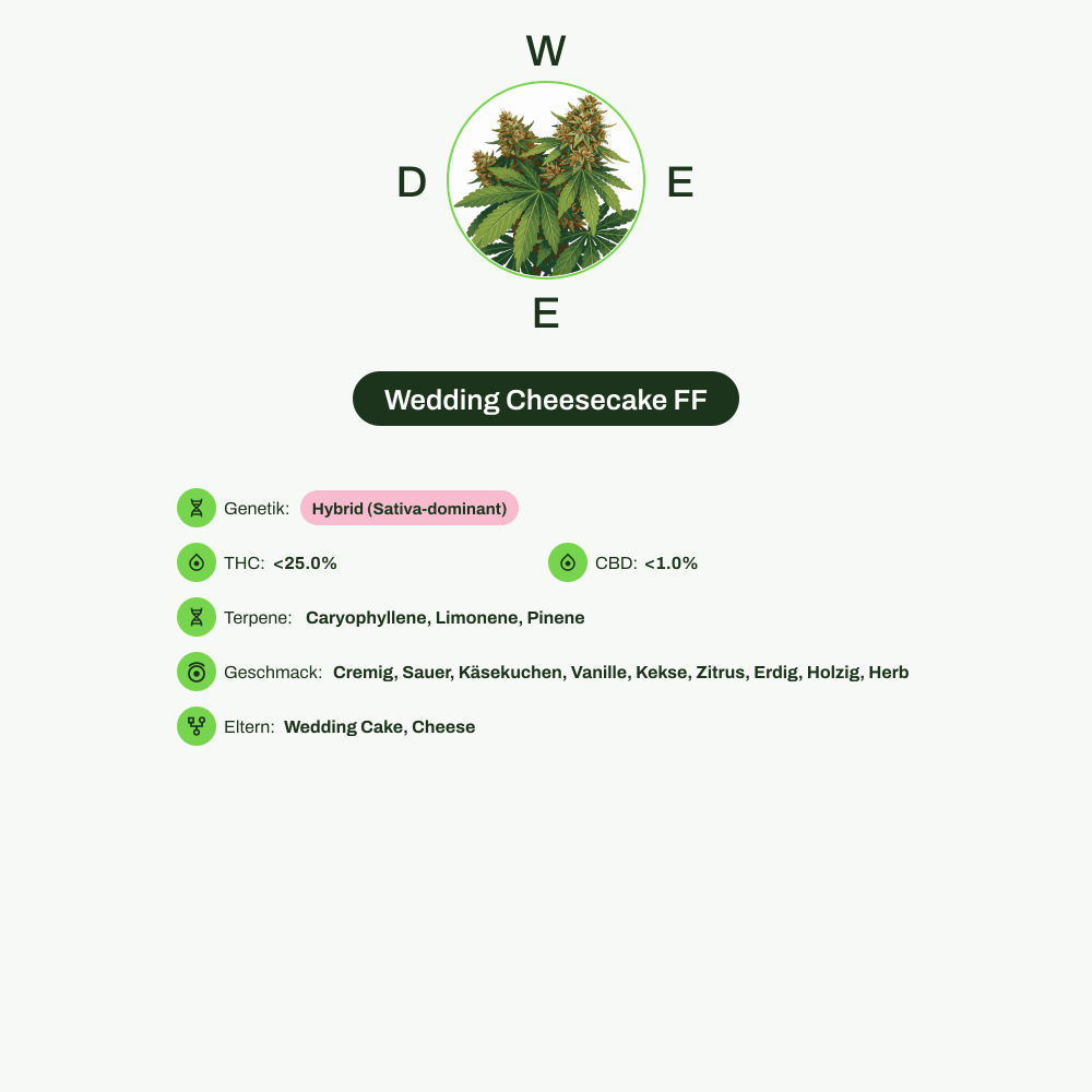 Infografik über THC-Gehalt, CBD-Gehalt, Terpene, Wirkungen, Geschmack von Wedding Cheesecake FF