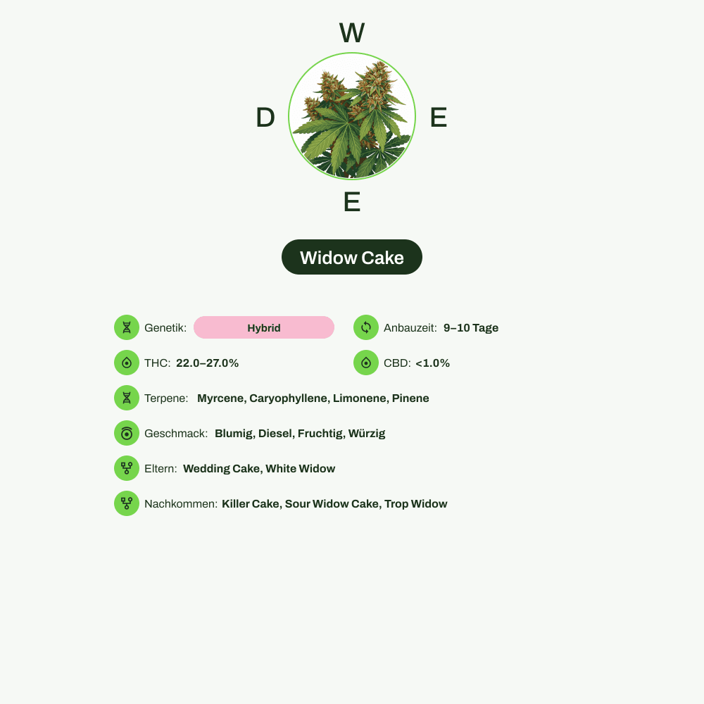 Infografik über THC-Gehalt, CBD-Gehalt, Terpene, Wirkungen, Geschmack von Widow Cake