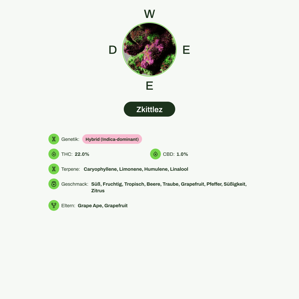 Infografik über THC-Gehalt, CBD-Gehalt, Terpene, Wirkungen, Geschmack von Zkittlez