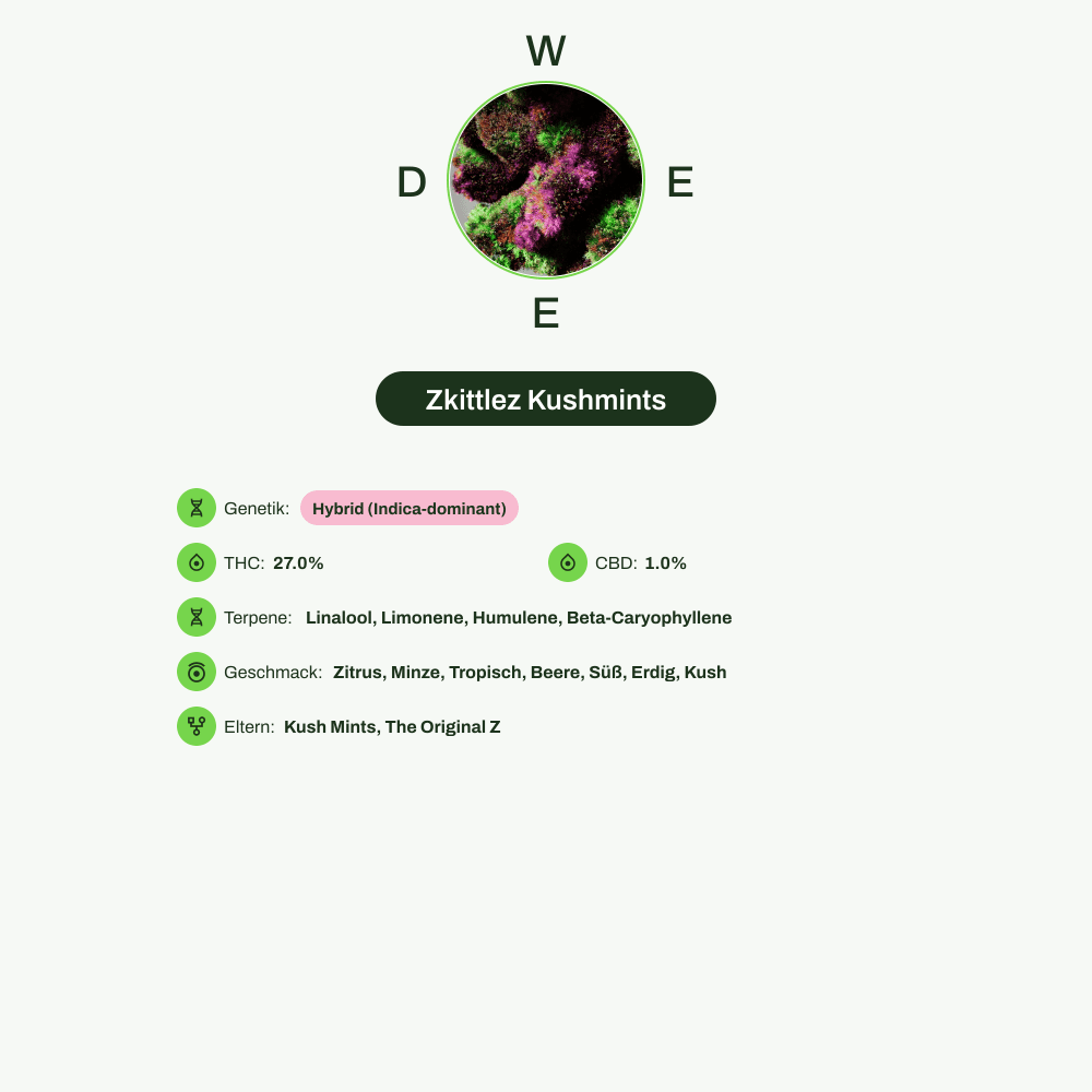 Infografik über THC-Gehalt, CBD-Gehalt, Terpene, Wirkungen, Geschmack von Zkittlez Kushmints