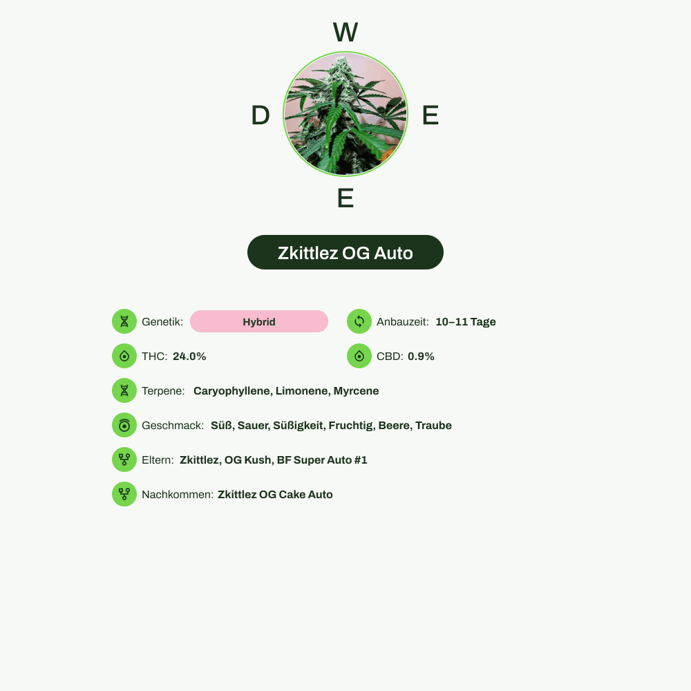 Infografik über THC-Gehalt, CBD-Gehalt, Terpene, Wirkungen, Geschmack von Zkittlez OG Auto
