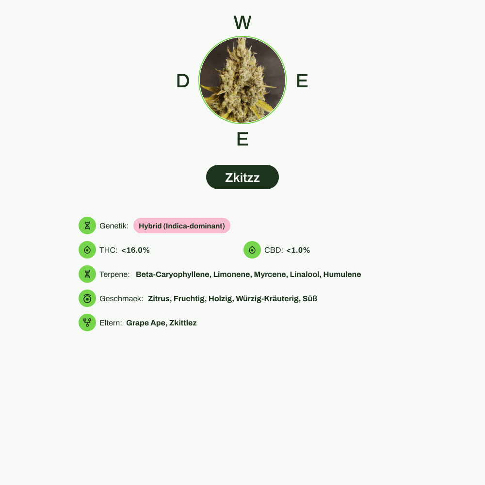 Infografik über THC-Gehalt, CBD-Gehalt, Terpene, Wirkungen, Geschmack von Zkitzz