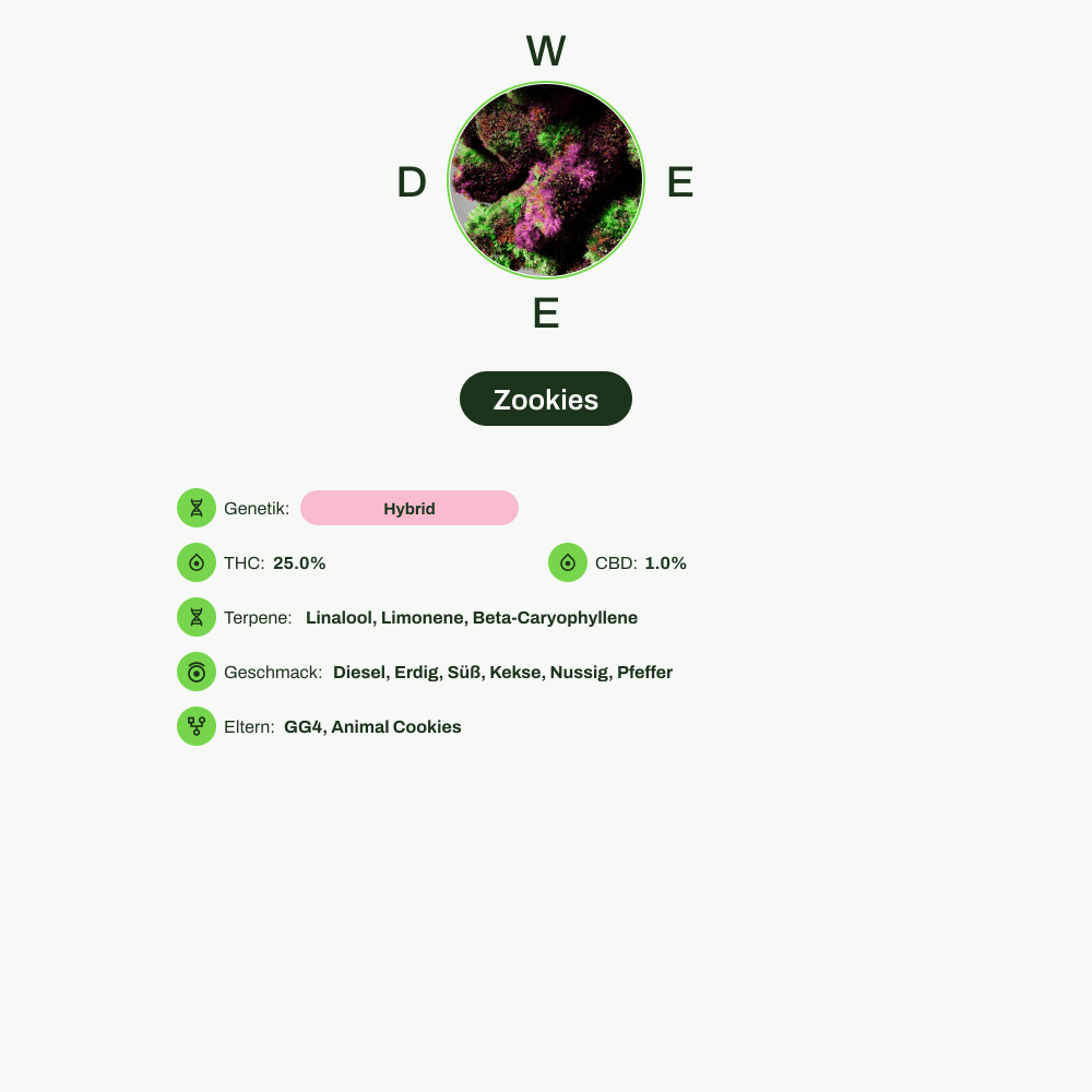 Infografik über THC-Gehalt, CBD-Gehalt, Terpene, Wirkungen, Geschmack von Zookies