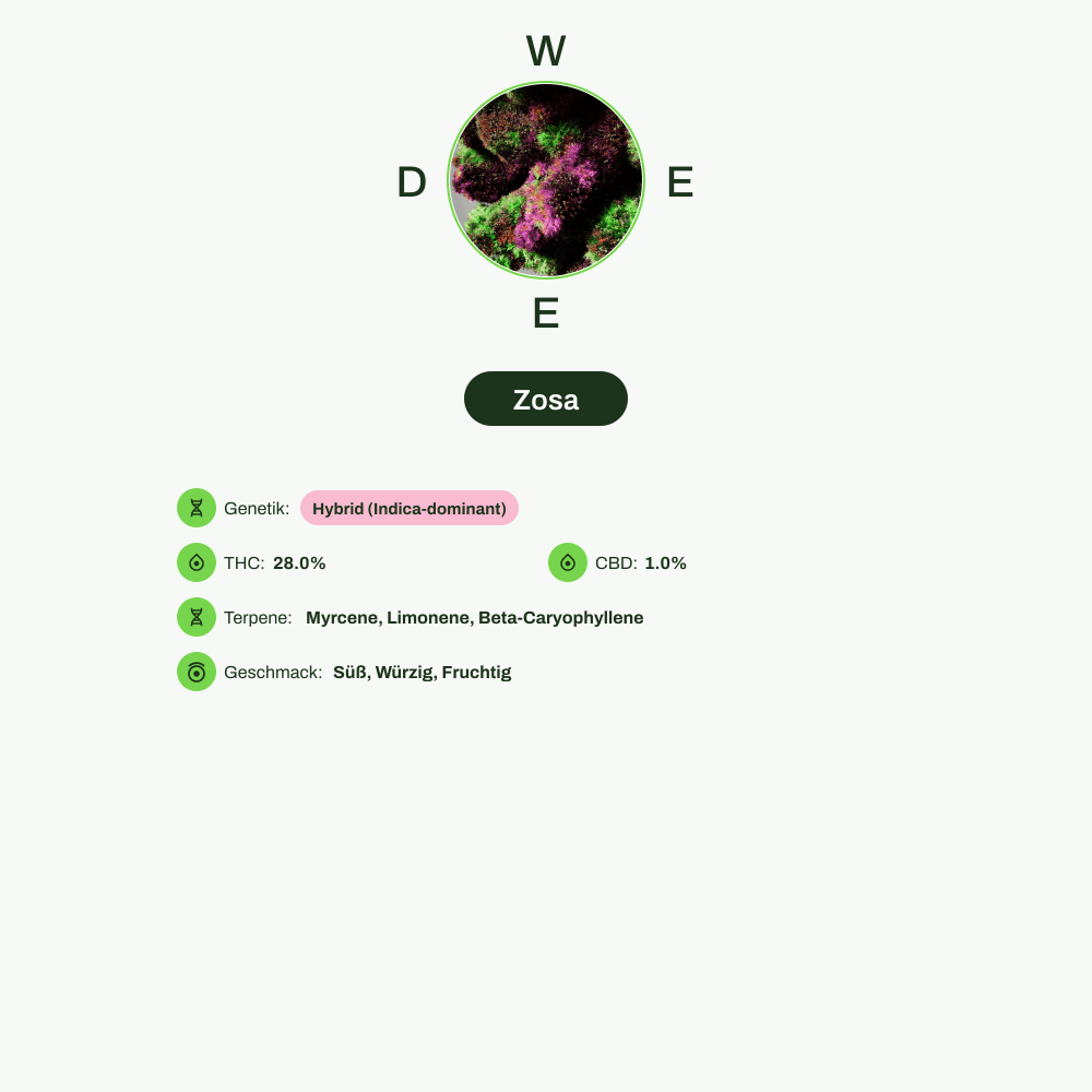 Infografik über THC-Gehalt, CBD-Gehalt, Terpene, Wirkungen, Geschmack von Zosa