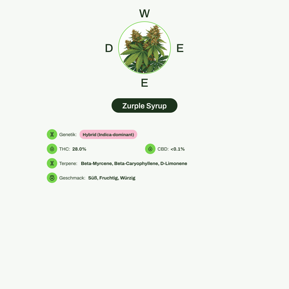 Infografik über THC-Gehalt, CBD-Gehalt, Terpene, Wirkungen, Geschmack von Zurple Syrup