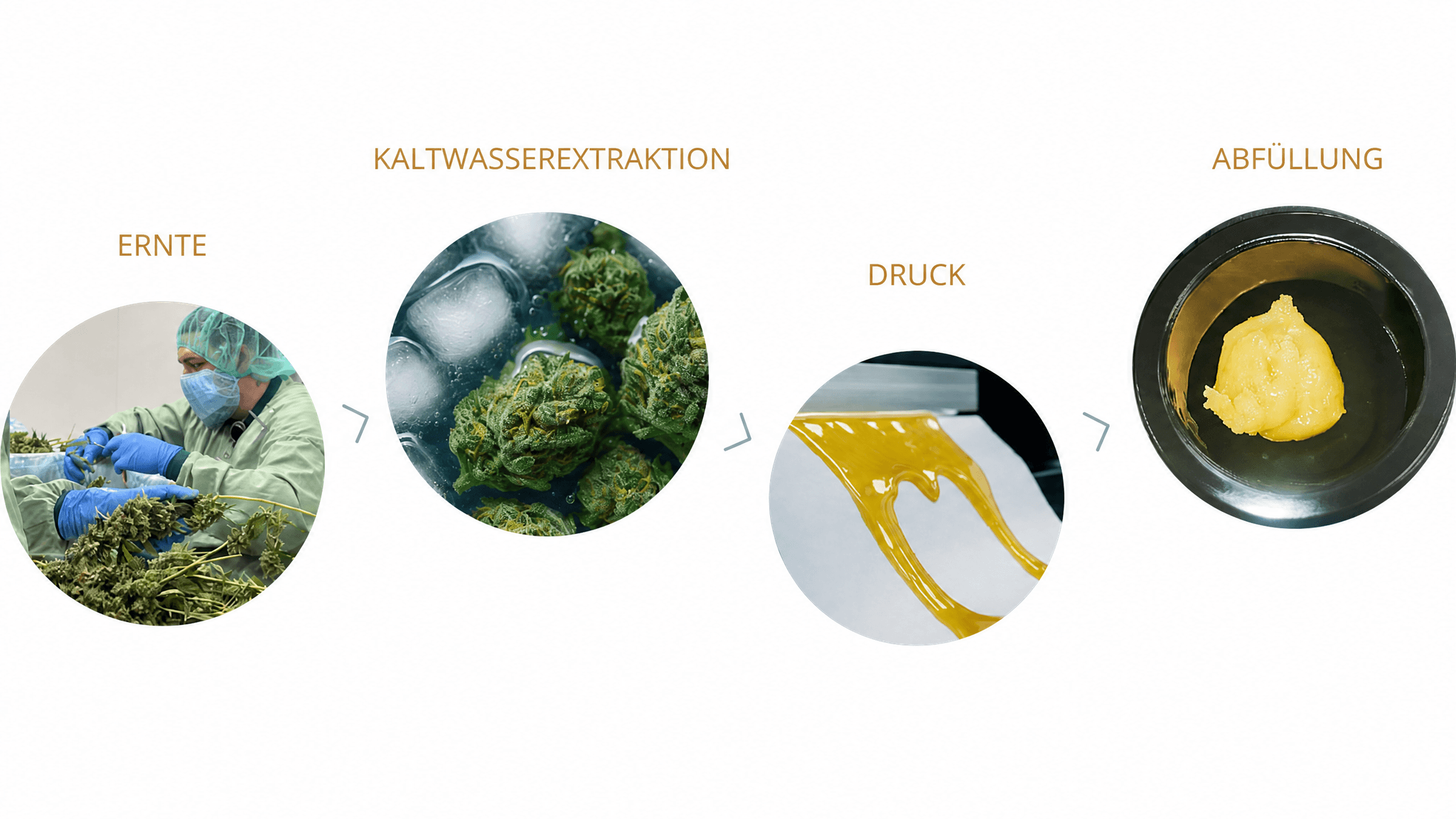Prozessdiagramm: Ernte, Kaltwasserextraktion, Druck, Abfüllung